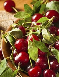 A close-up of a bowl filled with fresh, red cherries still attached to their green stems and leaves, placed on cozy burlap fabric.