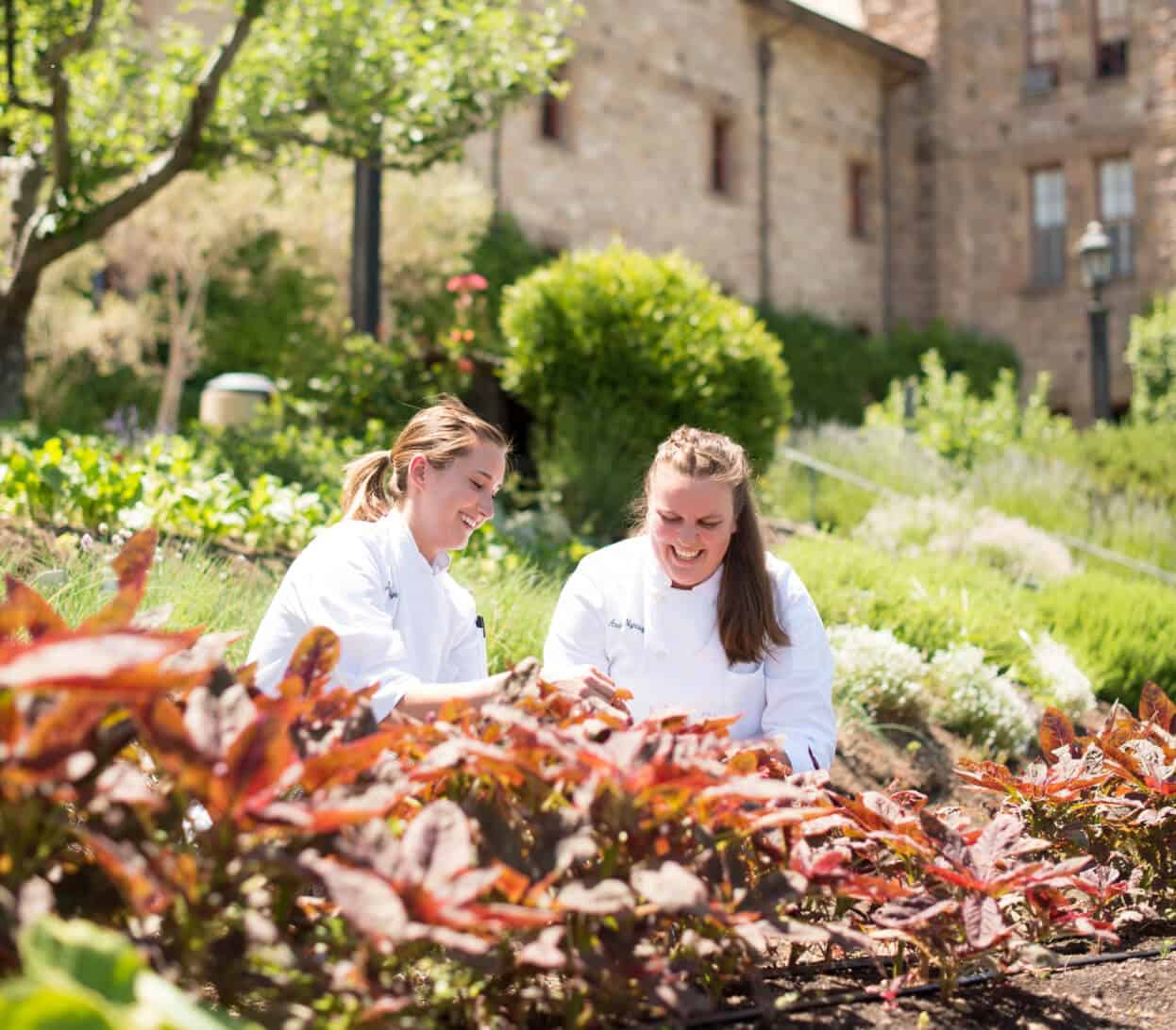 Two people in white chef coats are smiling and working in a garden filled with vibrant plants, with a rustic building in the background. They appear to be harvesting or tending to the garden on a sunny day.