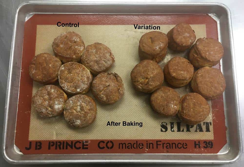 CIA Culinary Science student experiments comparing biscuits made with butter vs. shortening.