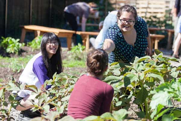 Three people are working together in a garden. One woman wearing glasses and a blue polka dot top is extending her hand to another woman in a reddish top, who is kneeling among the plants. A third woman, with long dark hair and glasses, is sitting nearby.