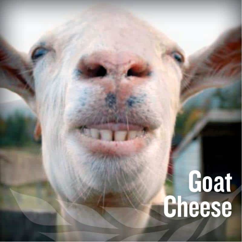 fathers day - Goat Cheese