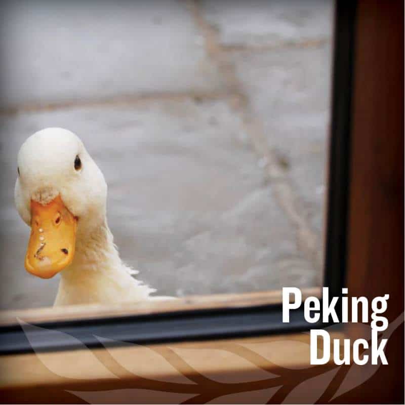 fathers day - Peking Duck