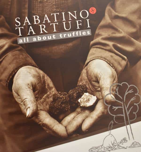 sabatino truffles 2 img