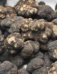 A close-up image of several black truffles. The truffles have a dark, rough, and knobby surface with patches of beige. The texture is dense and irregular. They are piled together, showcasing their unique shape and appearance.