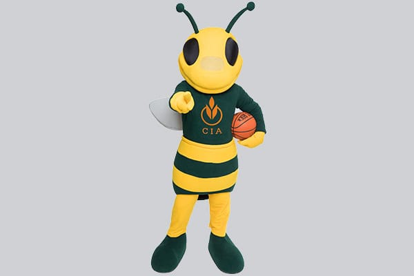 A person in a yellow and green striped bee mascot costume with antennae, wings, and black eyes stands on a grey background. The mascot is pointing forward with one hand and holding a basketball with the other. The costume has "CIA" and a flame logo on the chest.